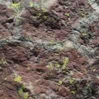 photo Polygones de dessiccation