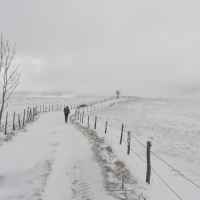 photo Neige et pluie