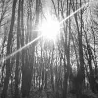 photo resserrer monde